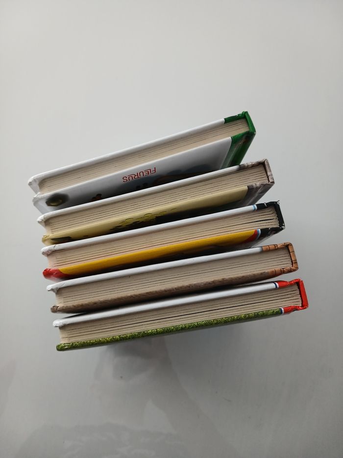 Lot de 5 livres pour enfants - Collection Fleurus (P'tit Garçon / P'tit Héros) - photo numéro 6