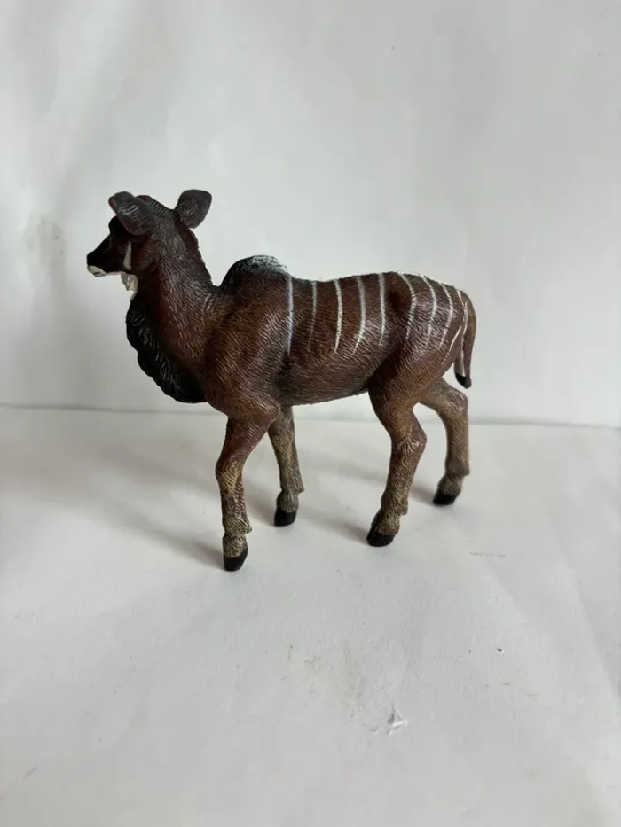 Antilope papo - photo numéro 3