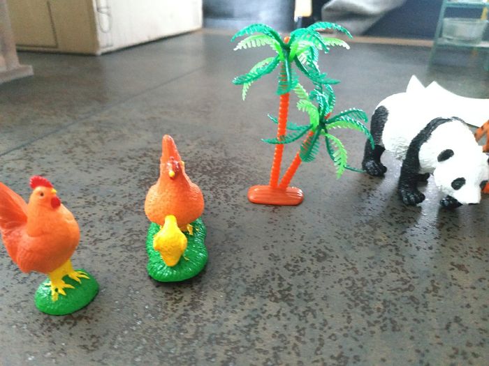 Lot animaux - photo numéro 2