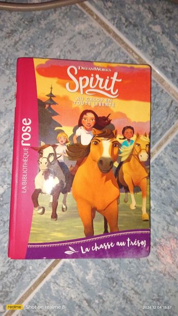 Livre la bibliothèque rose spirit