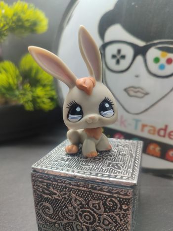 Lps970 My Littlest Petshop Pet Shop LPS  Lapin Rabbit bunny Lièvre 1036