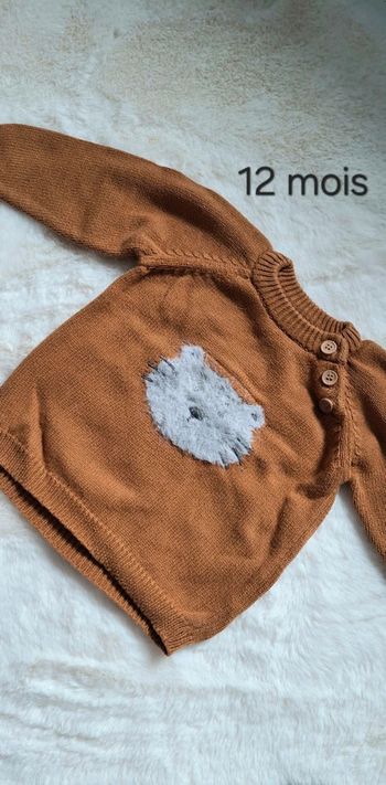 Pull taille 12 mois