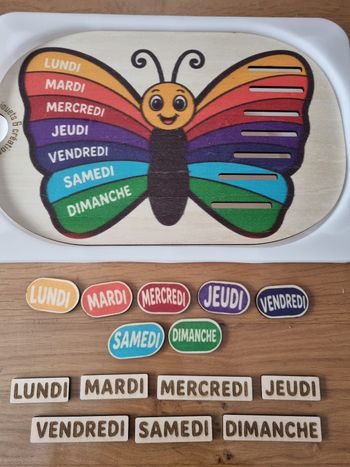 Petit insert pour  bac Trofast " Grand papillon jours de la semaine " avec jetons 🦋