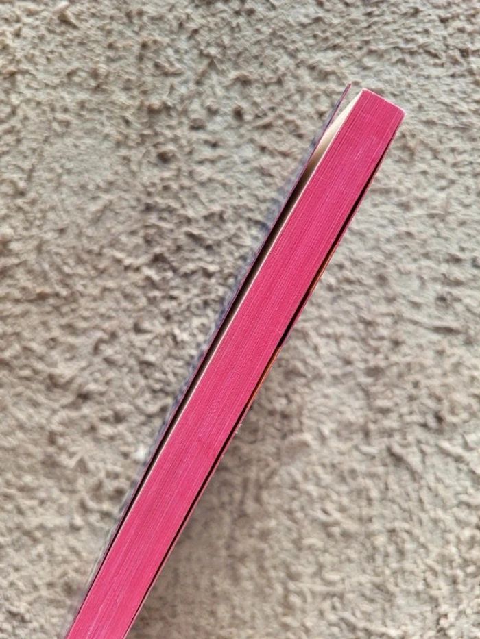 Roman jeunesse L'amour en toutes lettres dr Francess Lantz - photo numéro 3