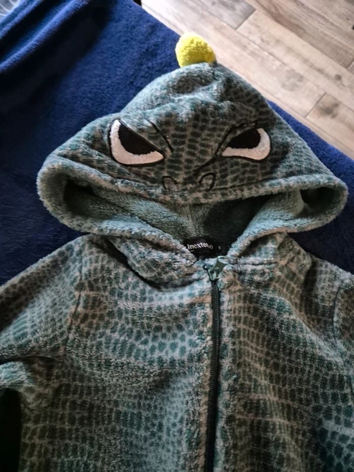 Pyjamas dinosaure - photo numéro 2