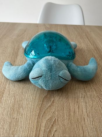 Veilleuse tortue cloud b