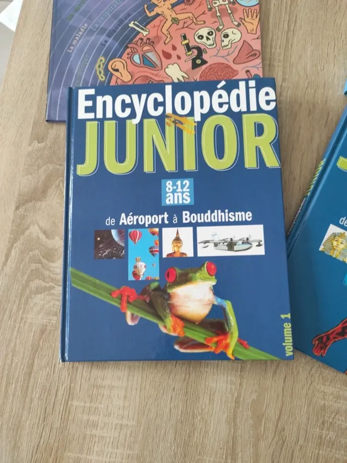 Encyclopédie junior livre découverte - photo numéro 2