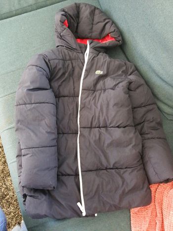 Manteau Lacoste