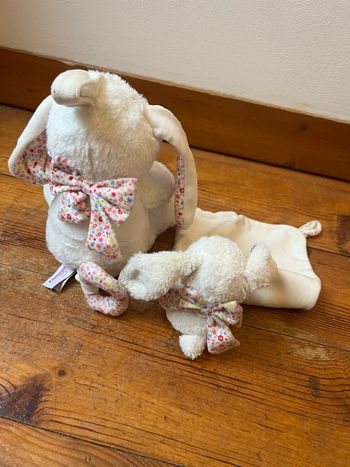 Peluches lapin 