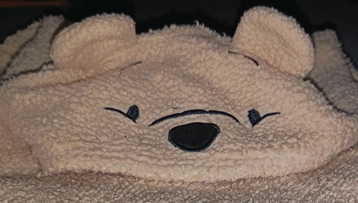 Poncho Winnie l'Ourson - photo numéro 2