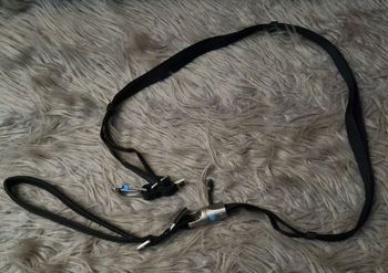 Laisse curli pour chien