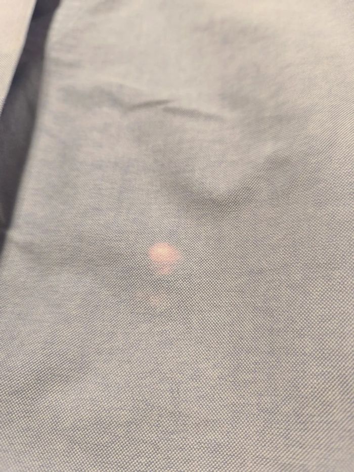 Chemise manches longues - Ralph Lauren - Yarmouth - Logo brodé premium - Bleu - Taille XL - photo numéro 11