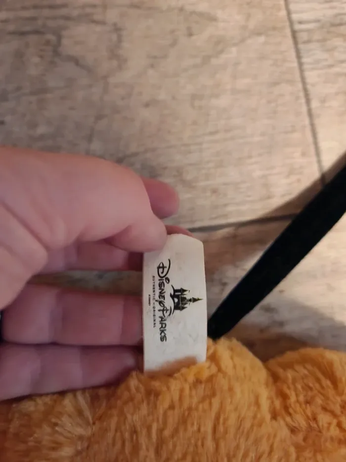 Plutôt disneyland - photo numéro 3