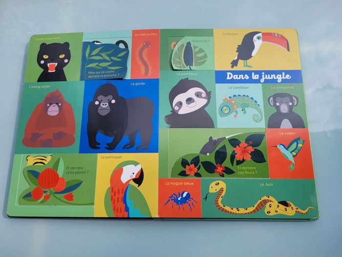 Grand livre à flaps 🦍 Mon Bel Imagier 🦜 Les animaux 🐆 73 - photo numéro 10