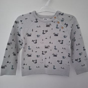 Pull dinosaures 4 ans
