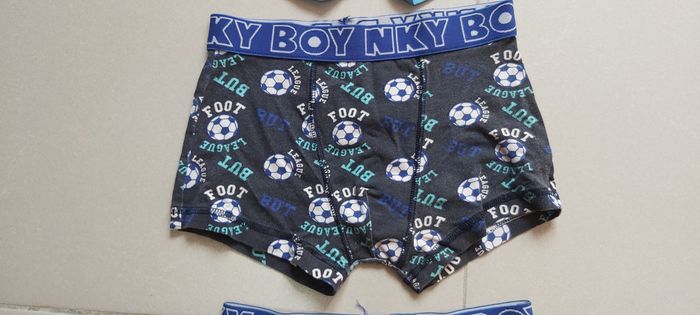 Boxer - photo numéro 3