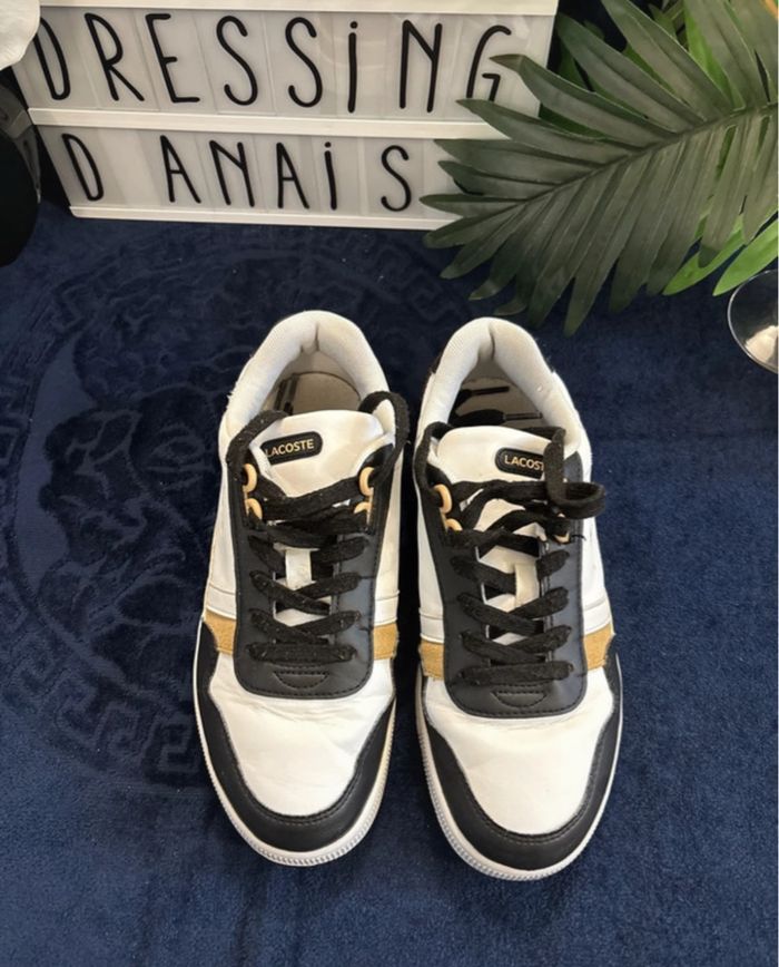 Basket Lacoste taille 37 - photo numéro 3