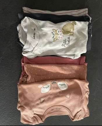 Lot 6 body