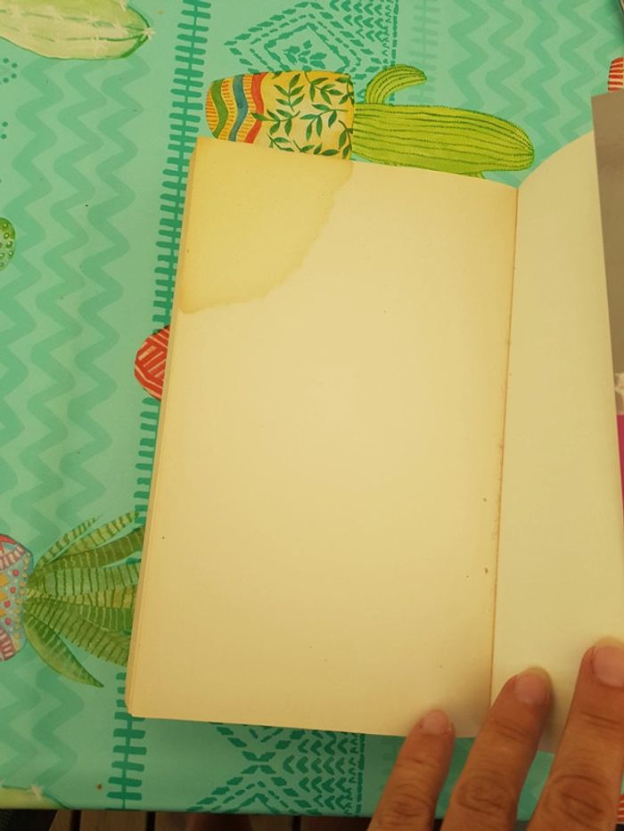 L'autre femme - photo numéro 5