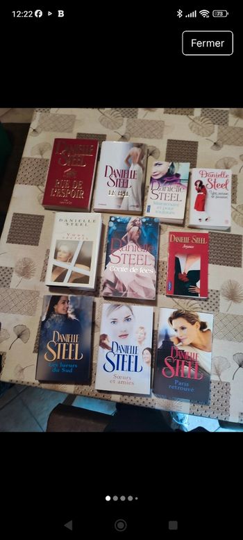 Lot de romans Danielle Steel 