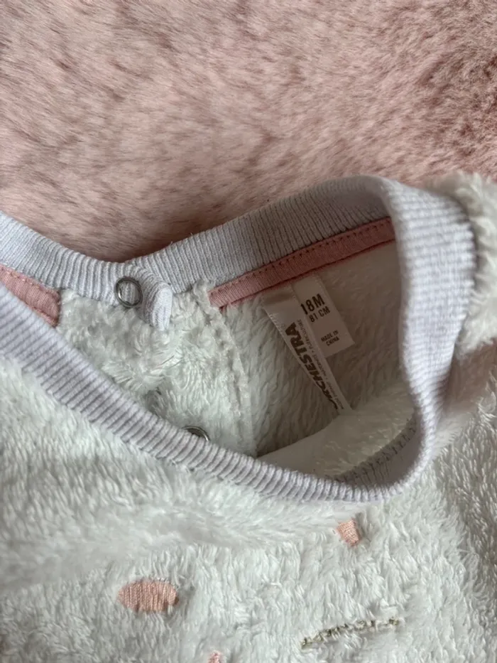 Pull chat - photo numéro 4