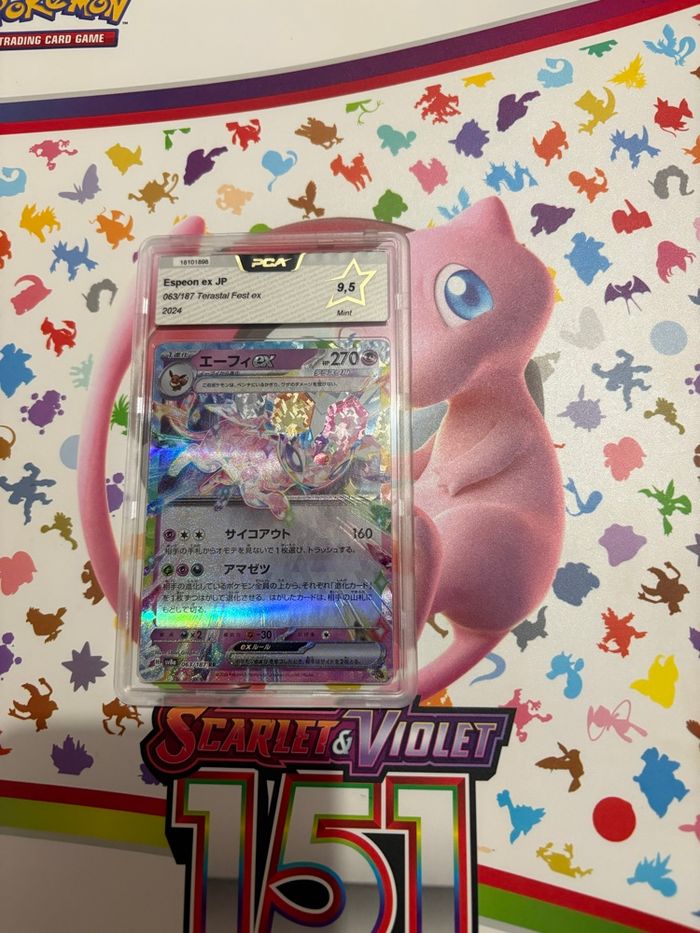 Mentali ex PCA 9,5 - photo numéro 2