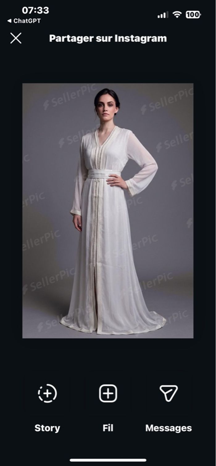 Caftan / Takchita 2 pièces model organza - photo numéro 4