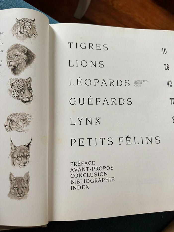 Livre Les Félins Robert Dallet Nathan rares illustrations tigre lion panthère léopard album - photo numéro 3