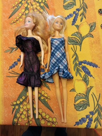 Lot de 2 poupées barbie