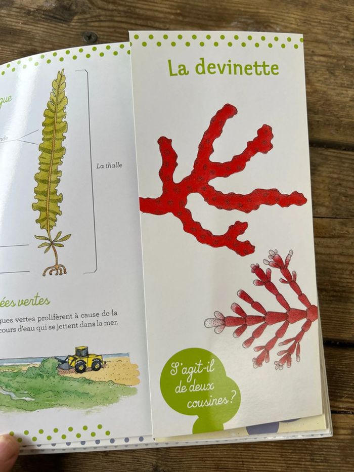Au bord de la mer - photo numéro 3