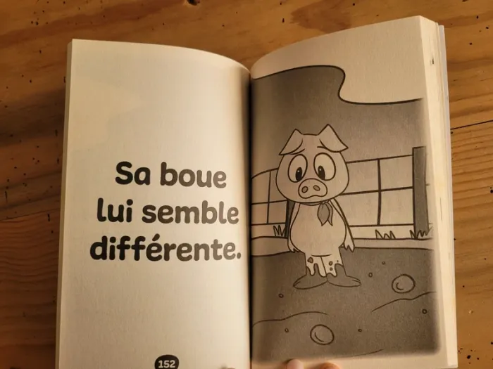 Livre pour première lecture - photo numéro 8
