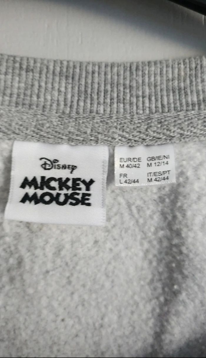 Sweat Disney - photo numéro 2