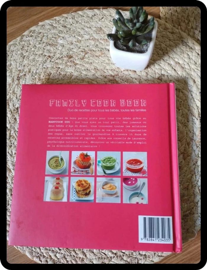 Livre famille Cook Book en très bon état - photo numéro 2