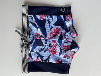 Petit bateau maillot garçon 2 ans 24 mois