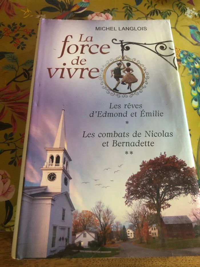 La force de vivre Michel Langlois