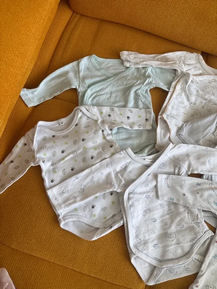 Lot de 6 bodies 3 mois - photo numéro 3