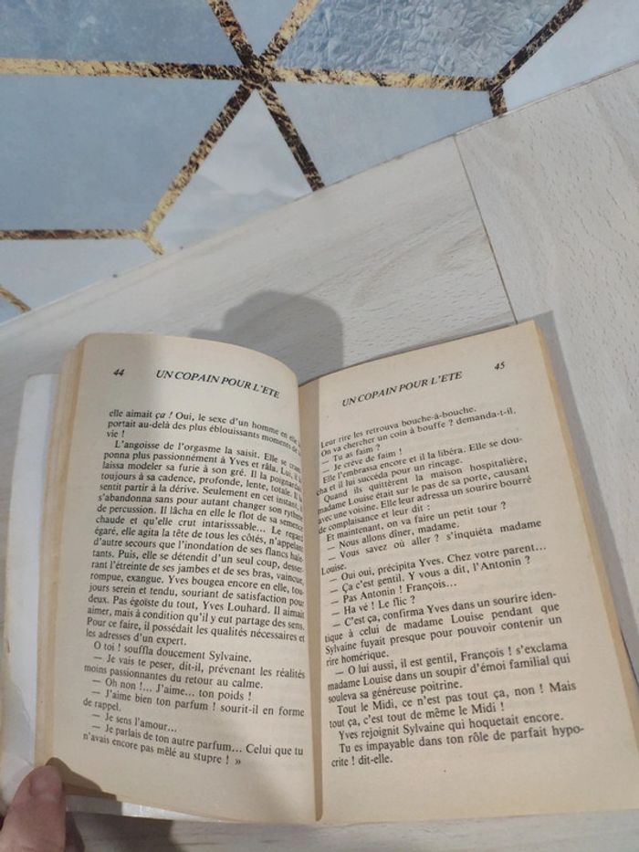 Livre poche érotique Un copain pour l'été Nalek collection Alcove adultes public averti - photo numéro 8