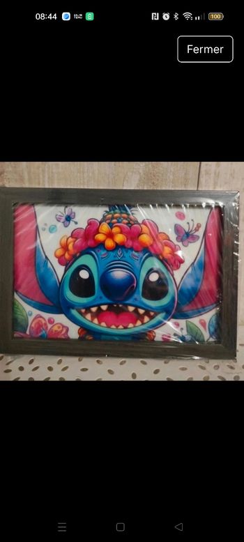 Cadre neuf stich