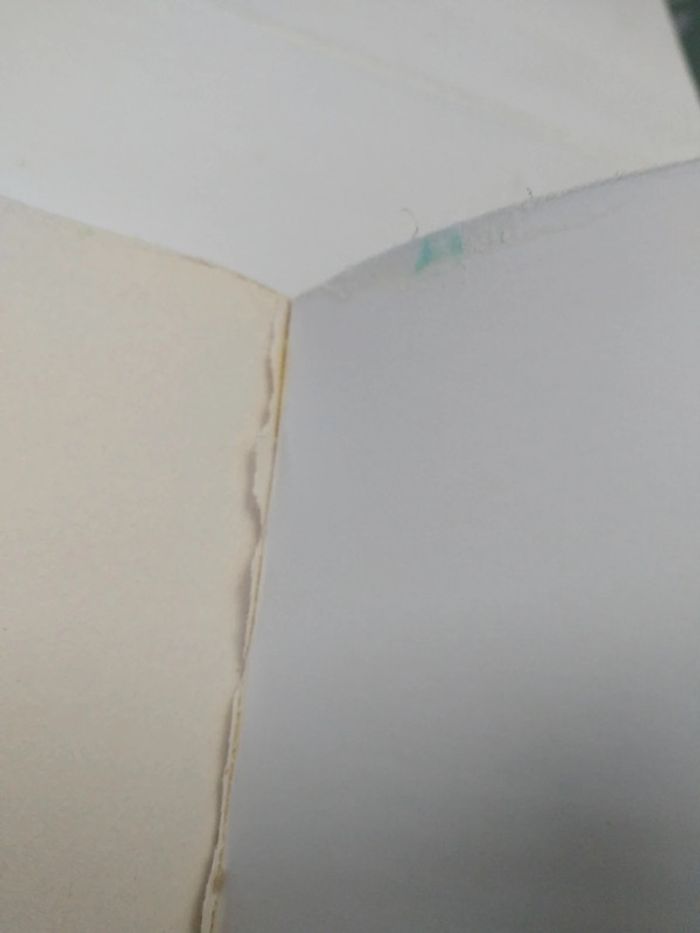 Le cimetière du diable - photo numéro 5