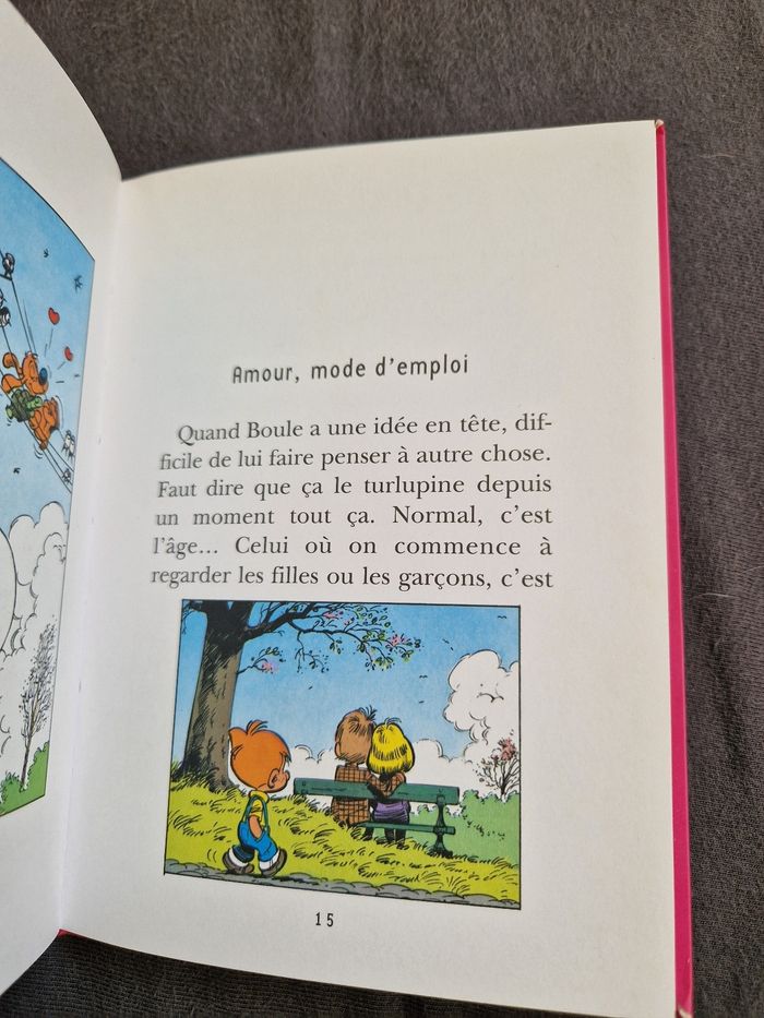 A la folie boule et bill - photo numéro 4