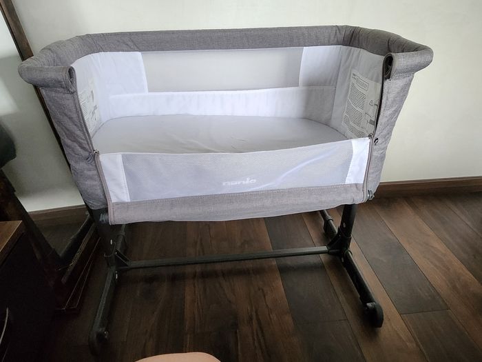 Cododo nania - photo numéro 6