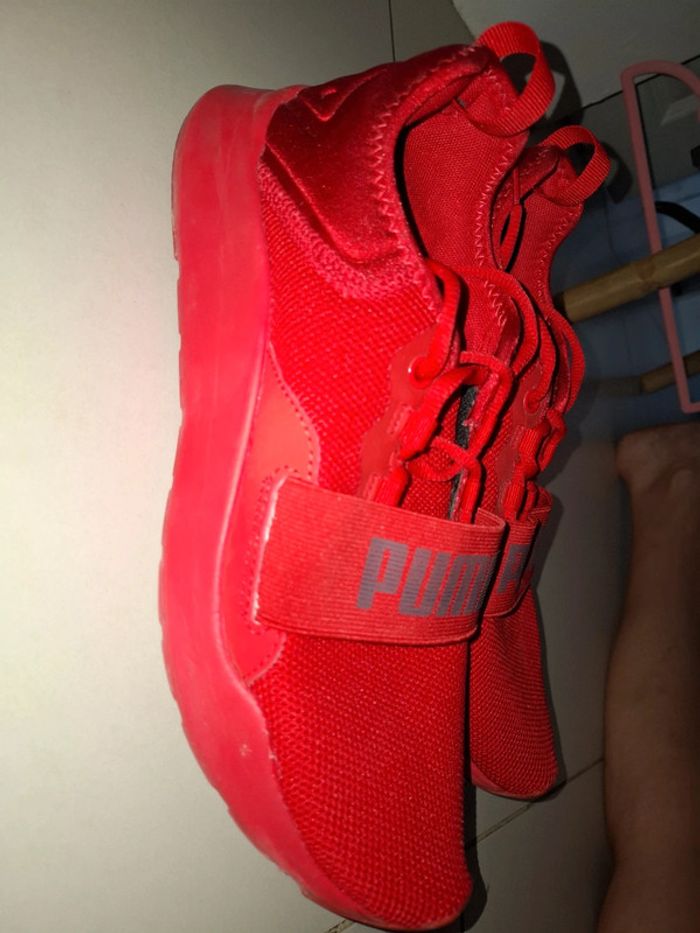 Puma 41 - photo numéro 6