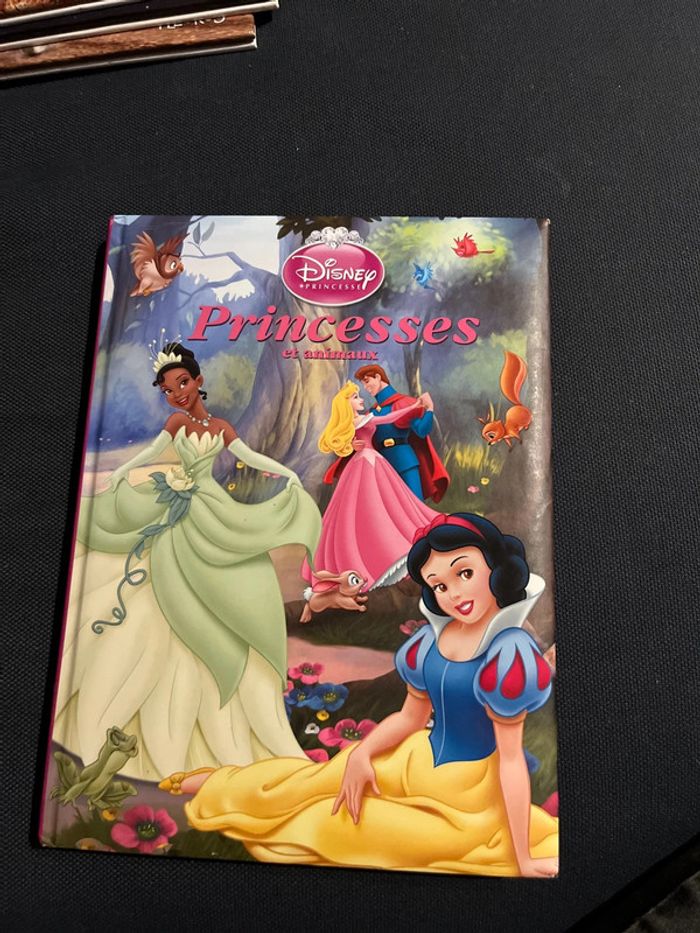 Livre pour enfants Disney princesses et animaux