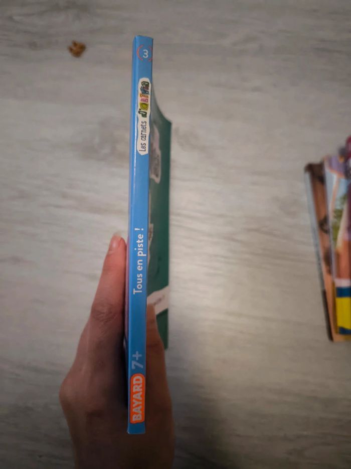 Livre les carnets d'Olivia - photo numéro 3