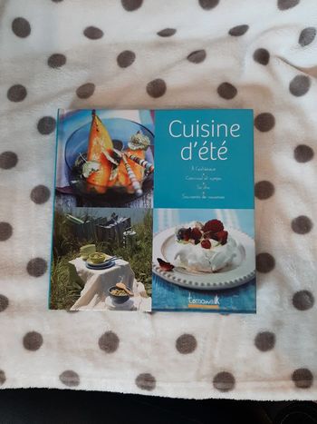 Livre recettes cuisine d'été n°2