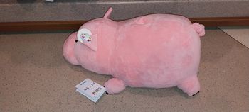 Pick-up Bayonne cuddleez Disney