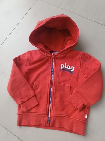 Gilet à capuche zippé