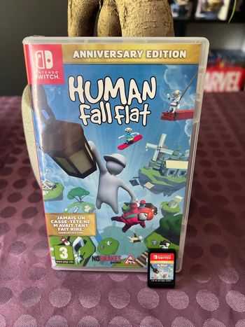Jeu Nintendo switch human fall flat