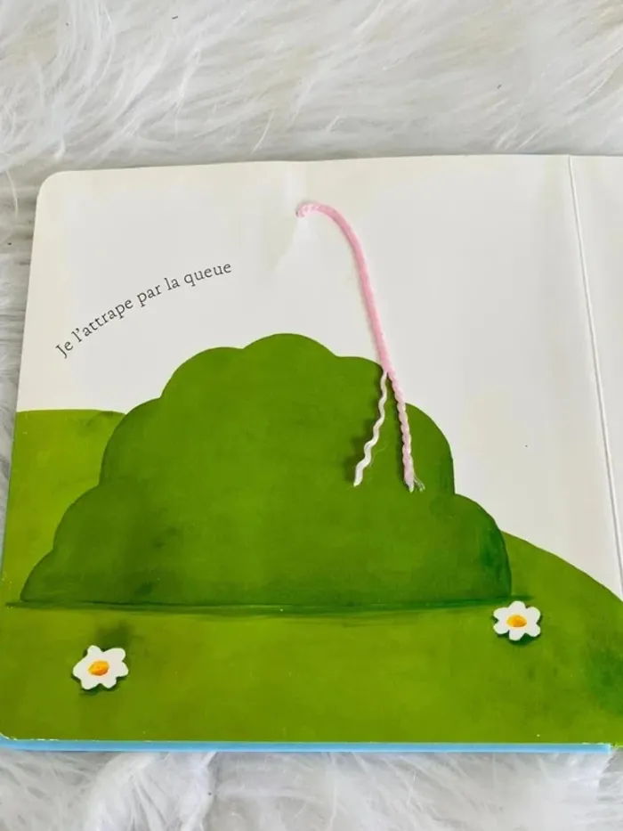 Livre bébé la souris verte - photo numéro 3