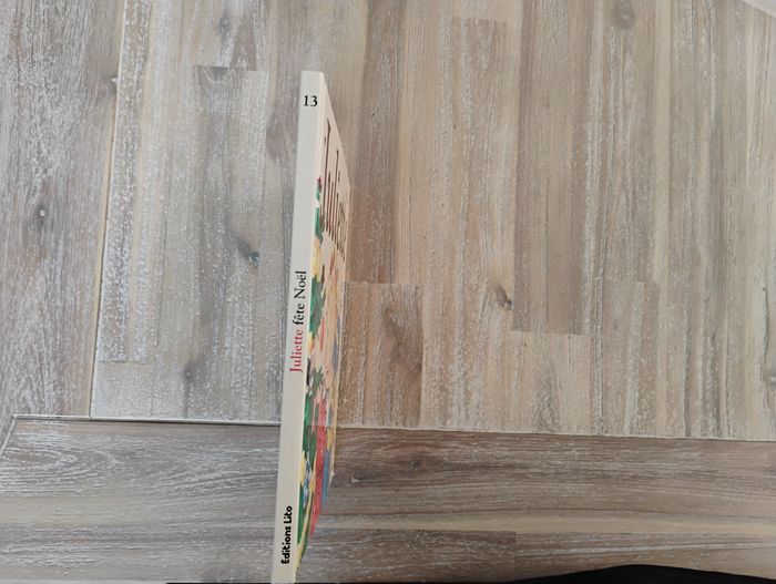 Livre Juliette fête Noël - photo numéro 3